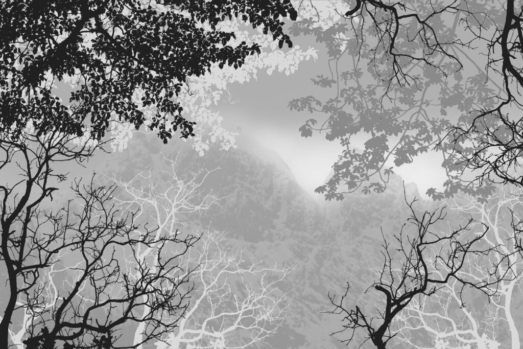 Ramas entre la niebla — diseño completo