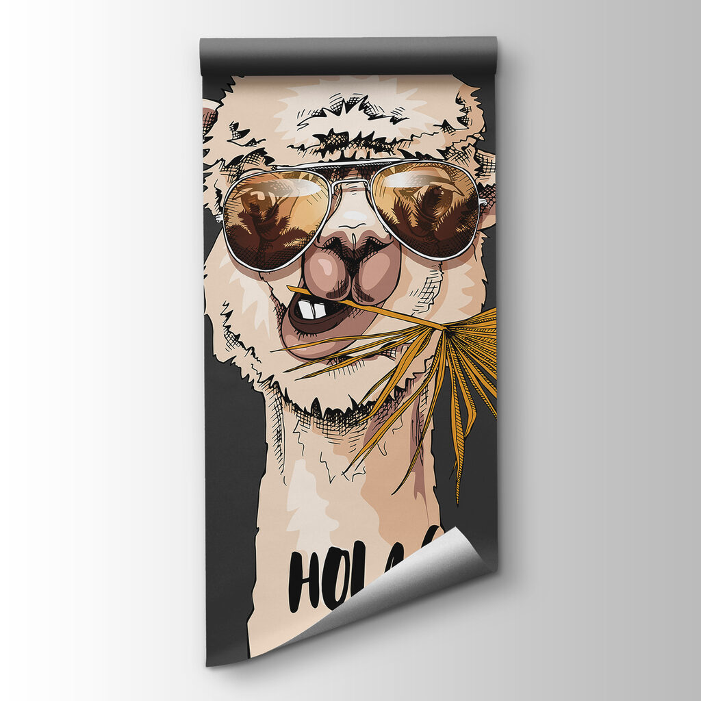 Llama con gafas — vista del producto