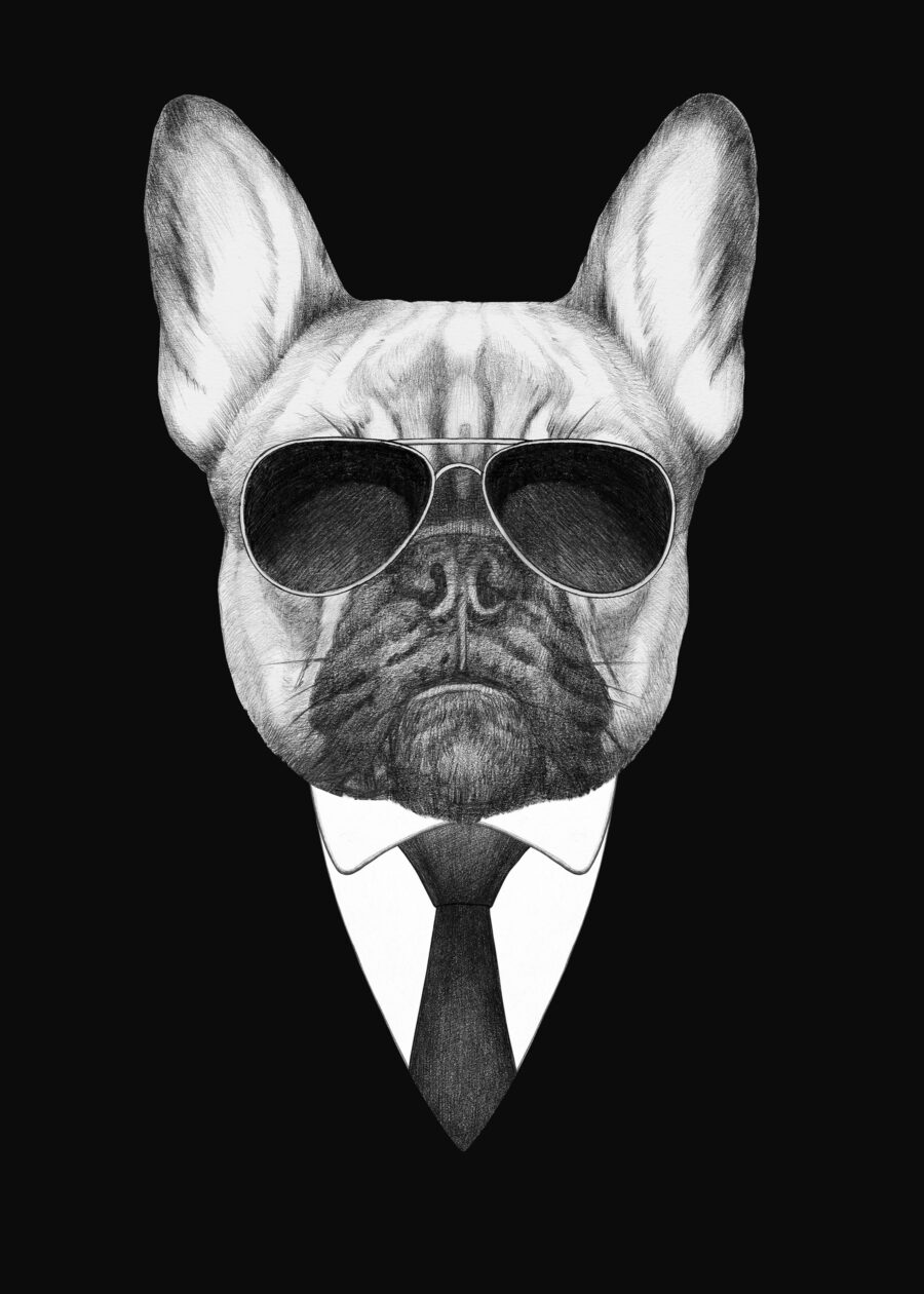 Bulldog con traje — diseño completo