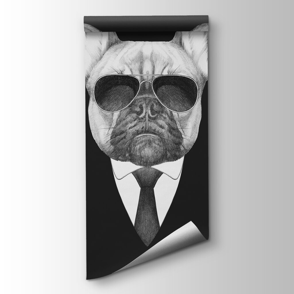 Bulldog con traje — vista del producto