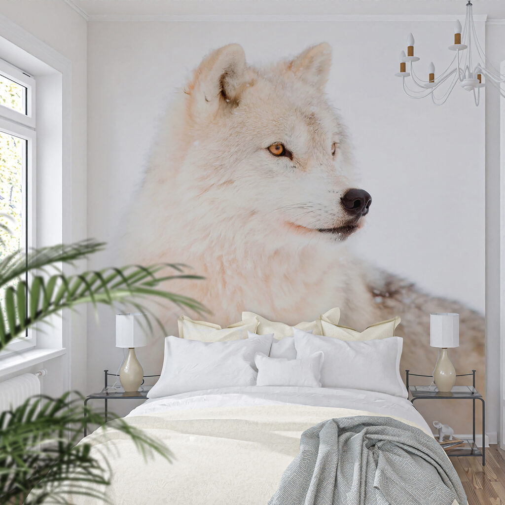 Lobo blanco de cerca — interior 4