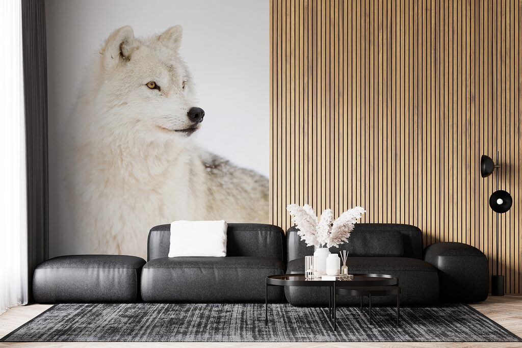 Lobo blanco de cerca — interior 5