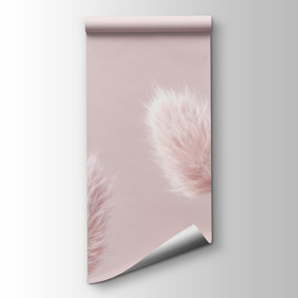 Plumas rosas de hierba — vista del producto