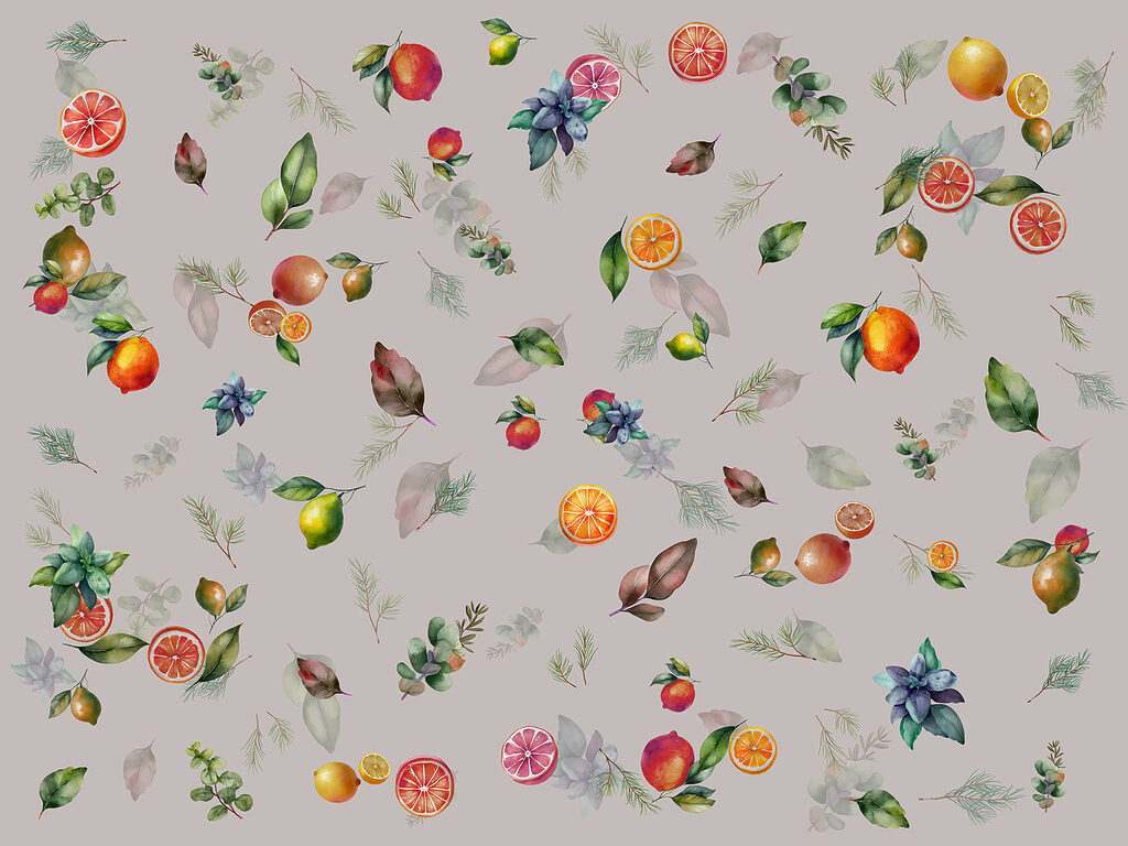 Frutas y ramitas — diseño completo