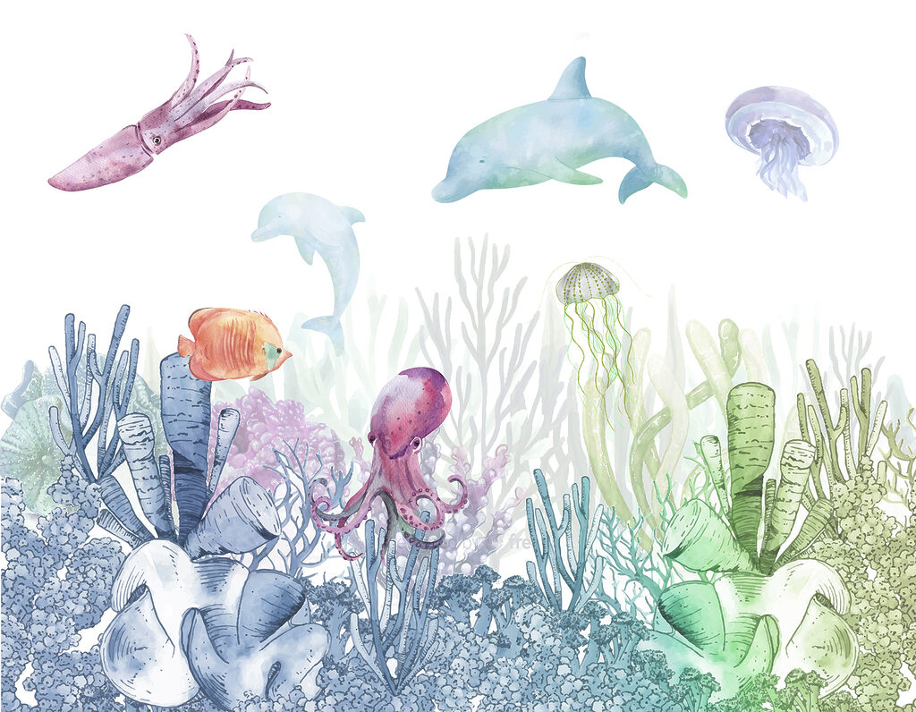Amigos del mar — diseño completo