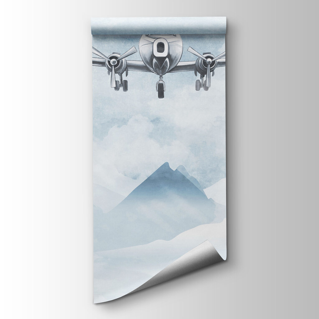 Aviones sobre montañas nevadas — vista del producto