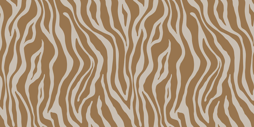 Rayas de cebra — diseño completo