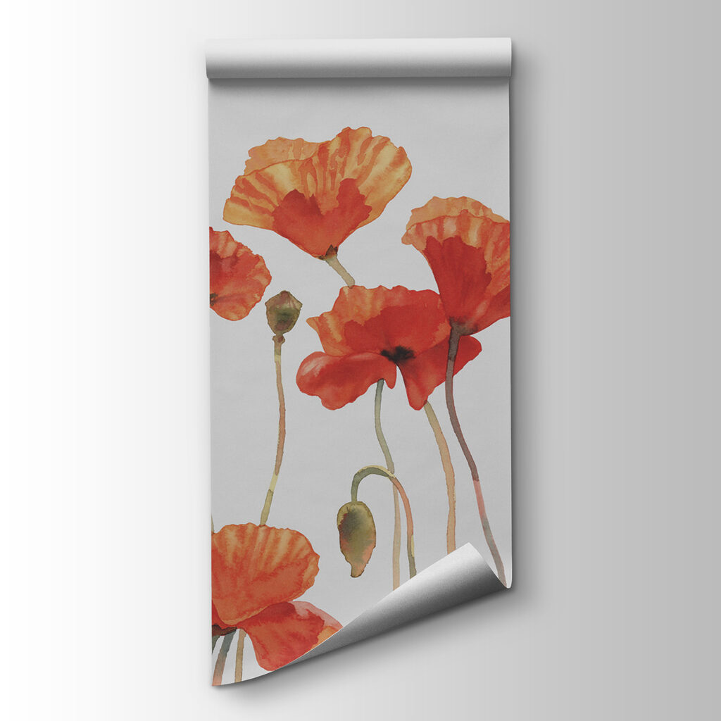 Amapolas de tallo largo — vista del producto