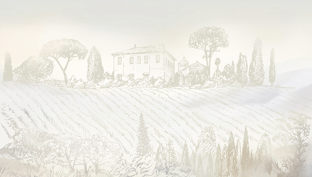 Villa sobre un viñedo — diseño completo