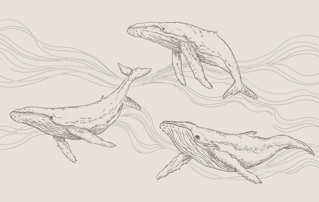 Tres ballenas entre olas — diseño completo