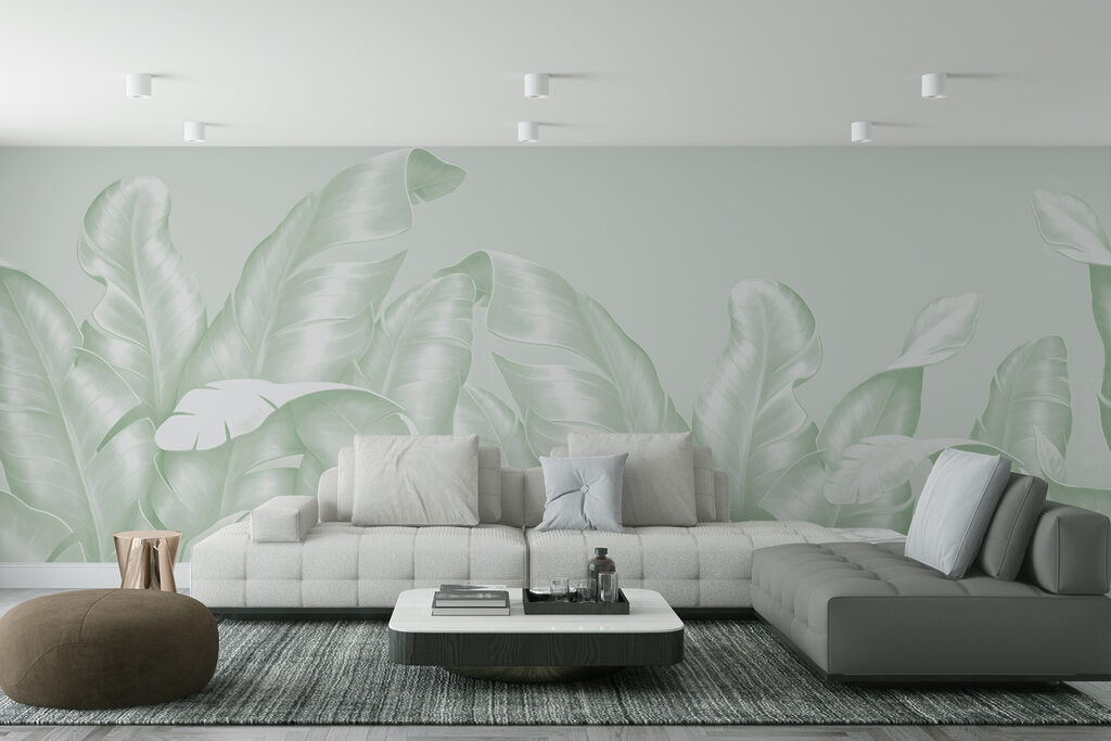 Hojas grandes pálidas — interior 1