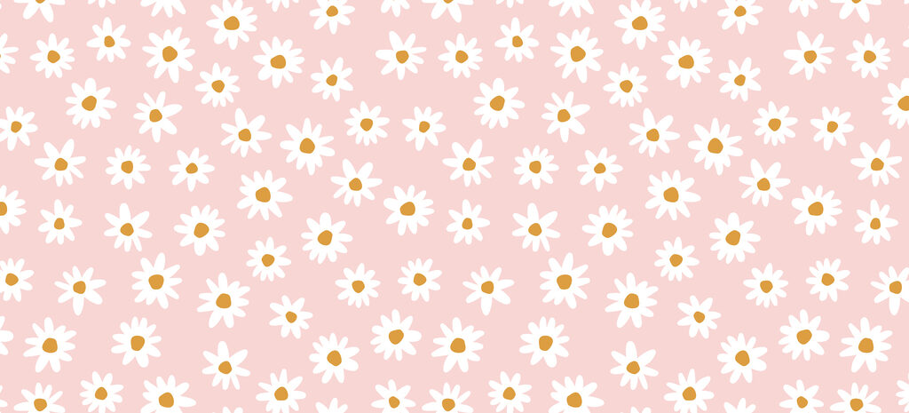 Margaritas blancas en rosa — diseño completo