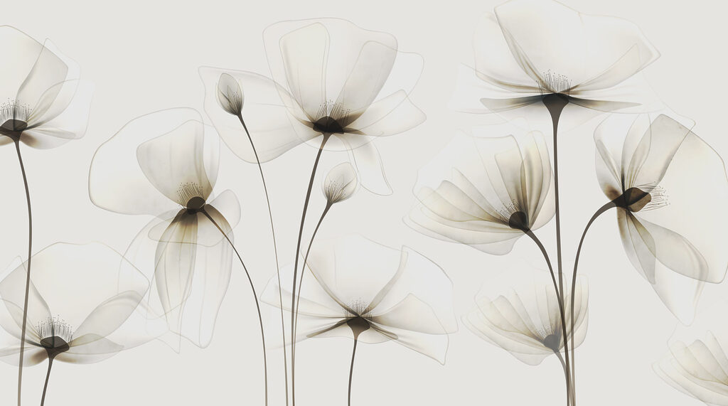 Flores de pétalos translúcidos — diseño completo