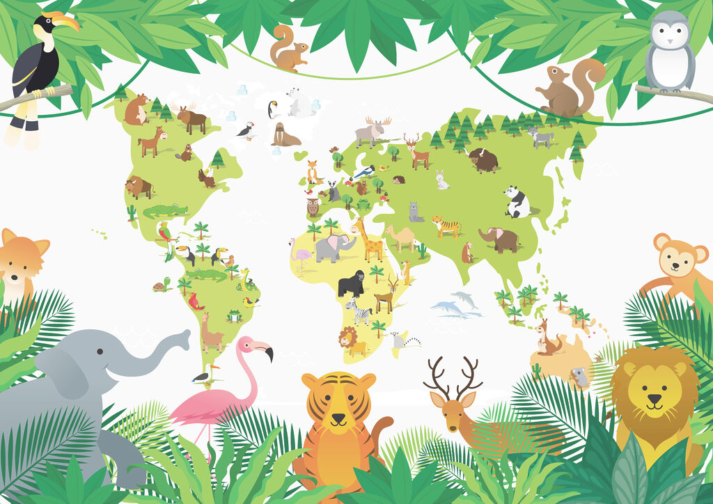 Animales alrededor del mundo — diseño completo