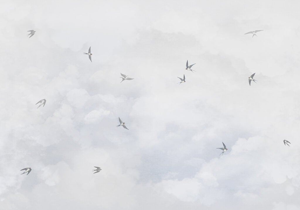 Aves entre nubes — diseño completo