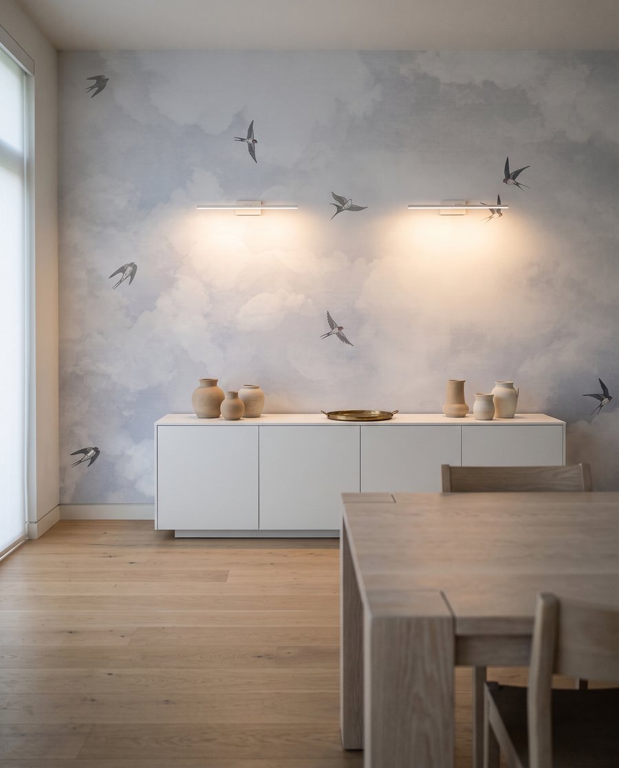 Aves entre nubes — interior 1