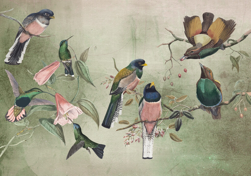 Aves coloridas en ramas — diseño completo