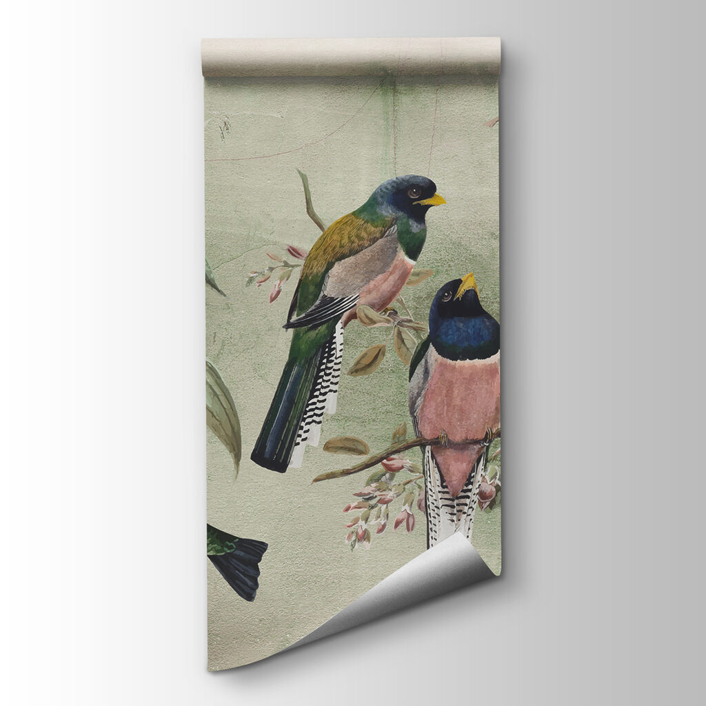 Aves coloridas en ramas — vista del producto