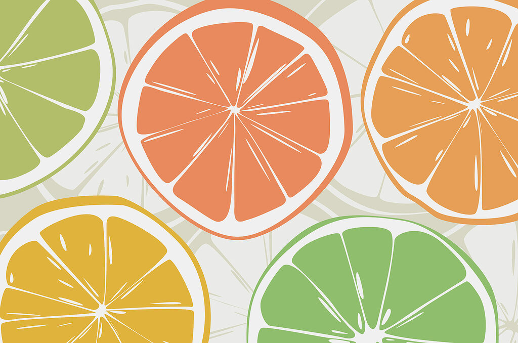 Rodajas de cítricos — diseño completo