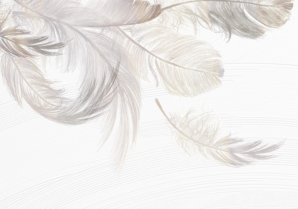 Plumas blancas flotando — diseño completo