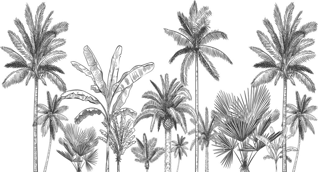 Palmeral en tinta negra — diseño completo