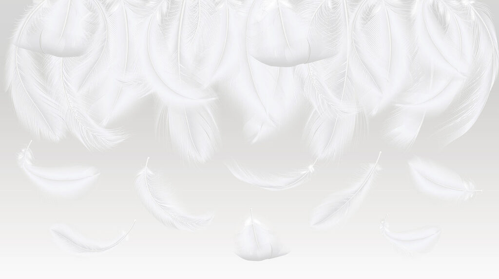 Plumas blancas — diseño completo