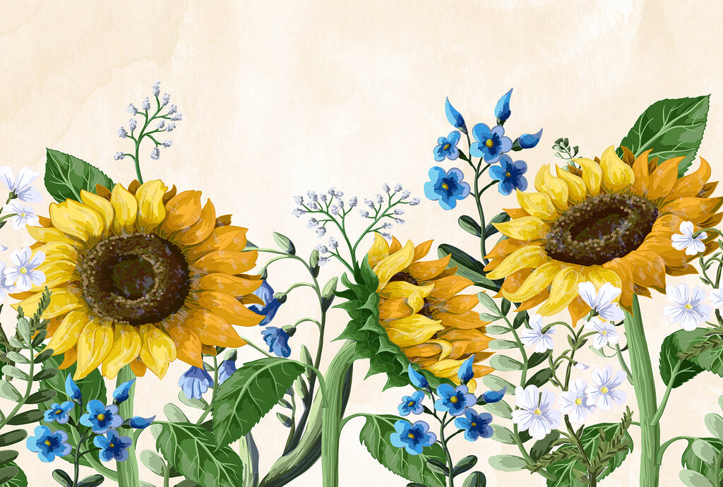 Girasoles en acuarela fina — diseño completo