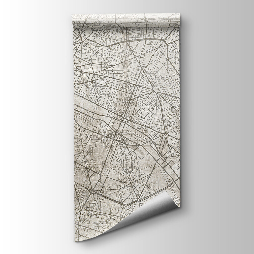 Calles en red fina — vista del producto