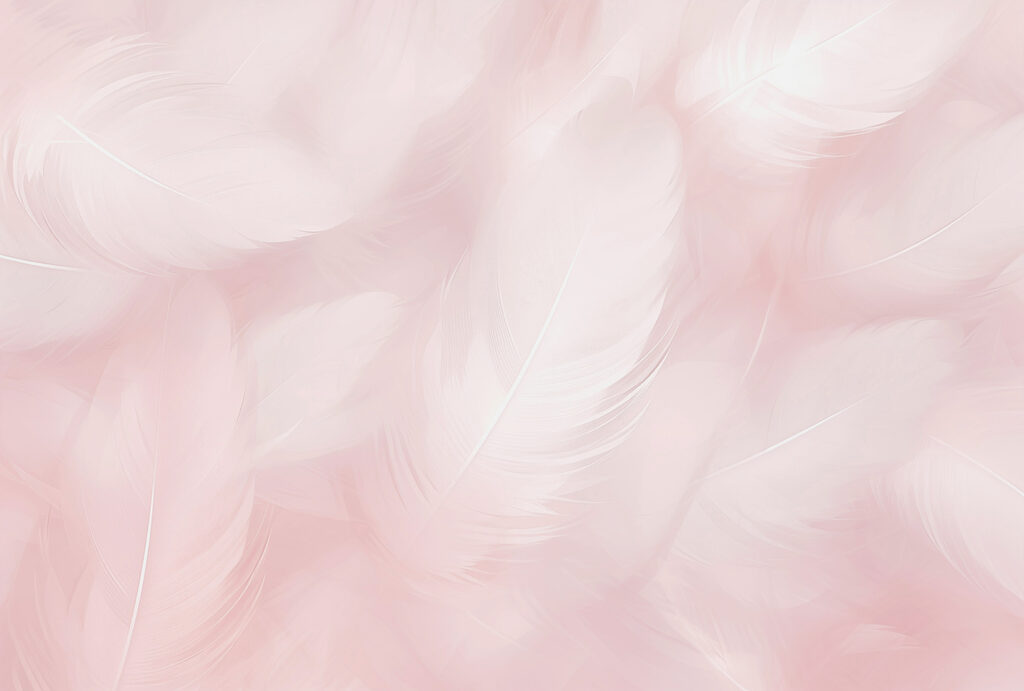 Plumas blancas sobre rosa — diseño completo