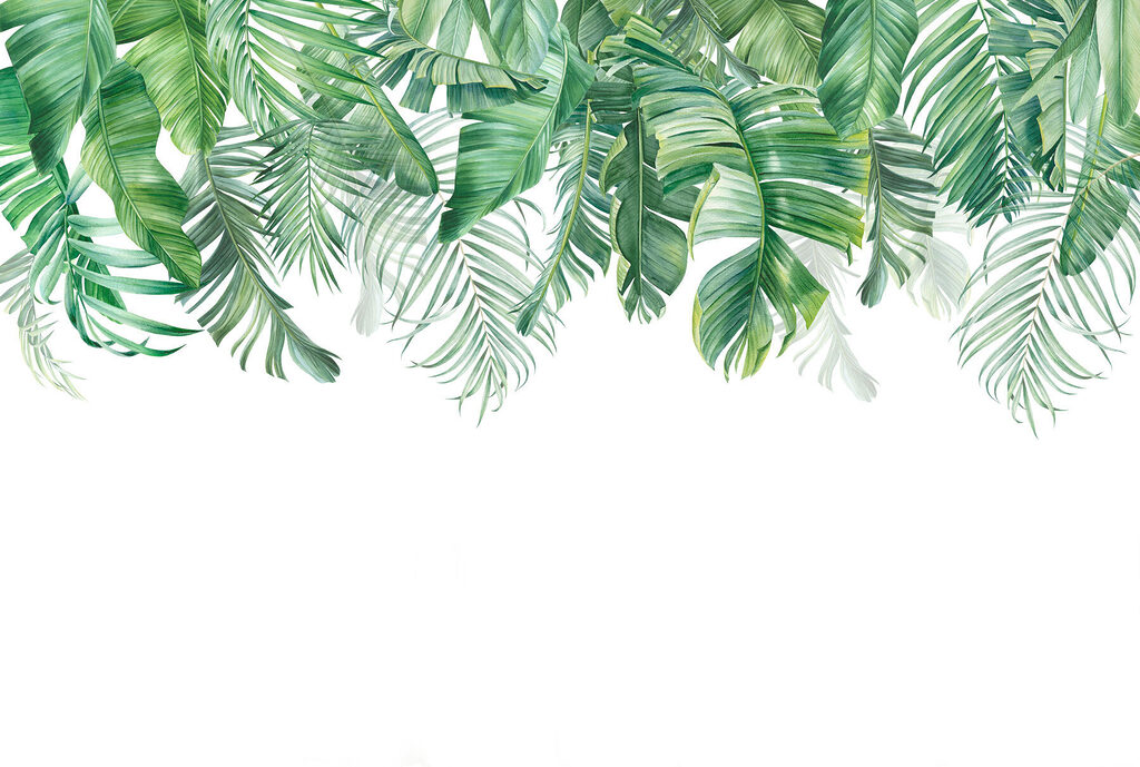 Hojas de palmera colgantes — diseño completo