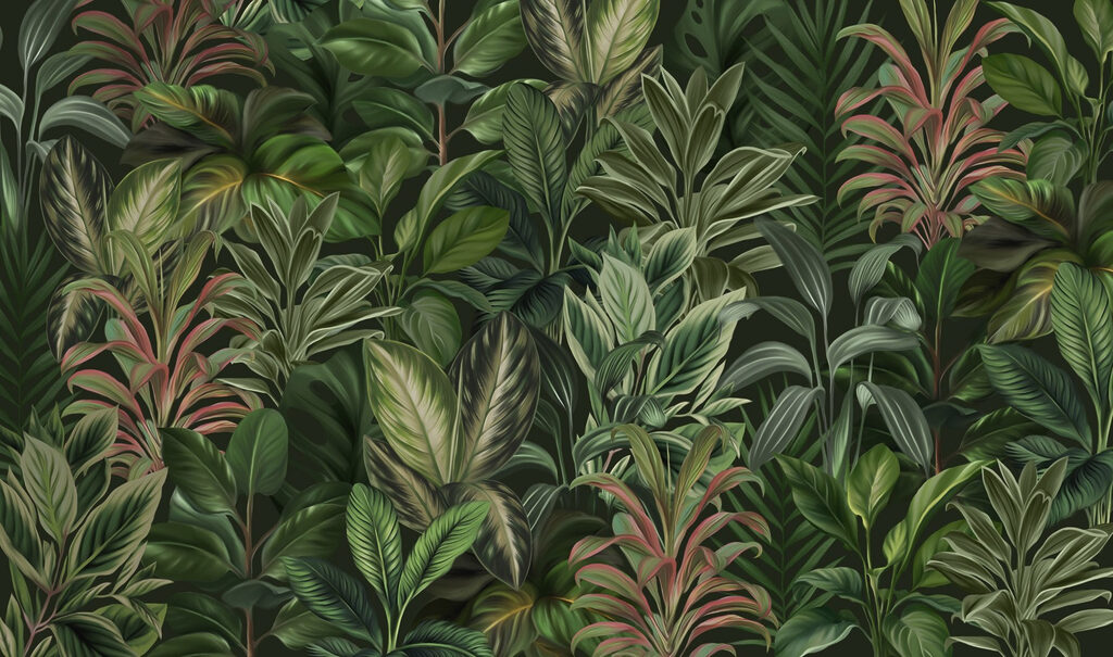 Jungla en verdes profundos — diseño completo