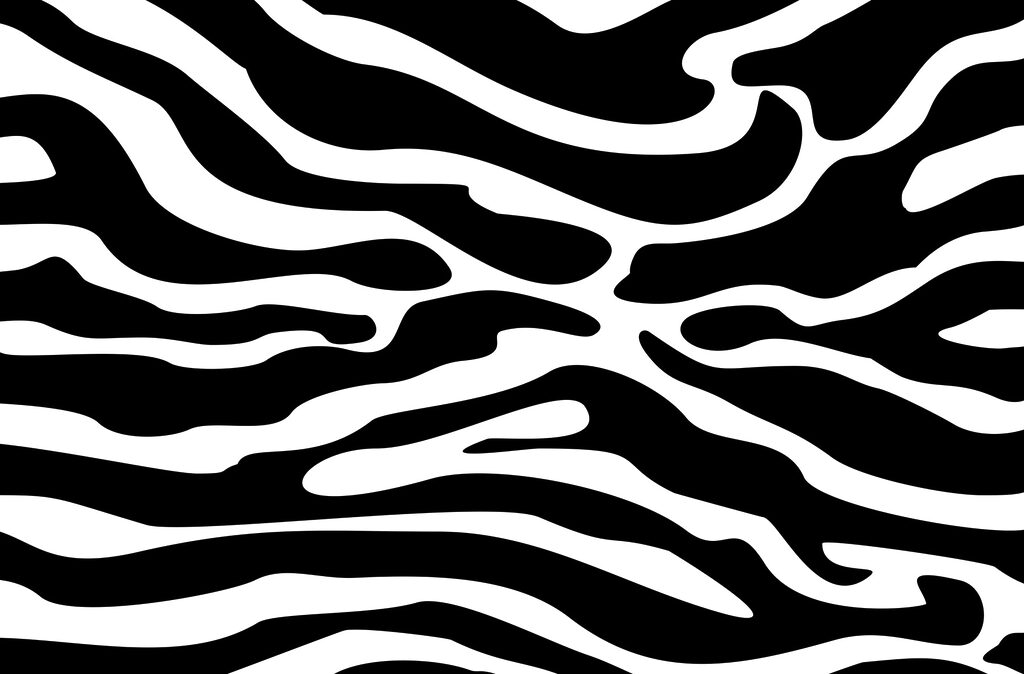 Rayas de cebra anchas — diseño completo