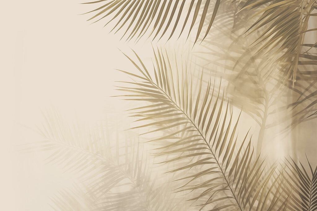 Palmas con sombras suaves — diseño completo