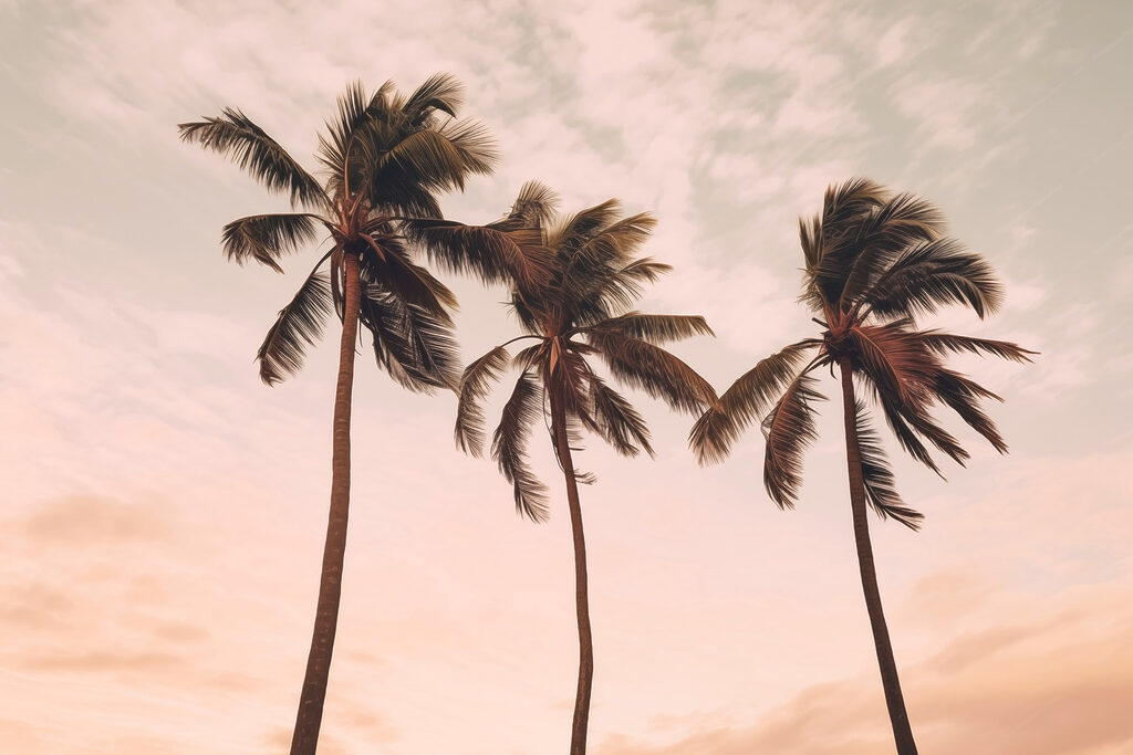 Tres palmeras al atardecer — diseño completo