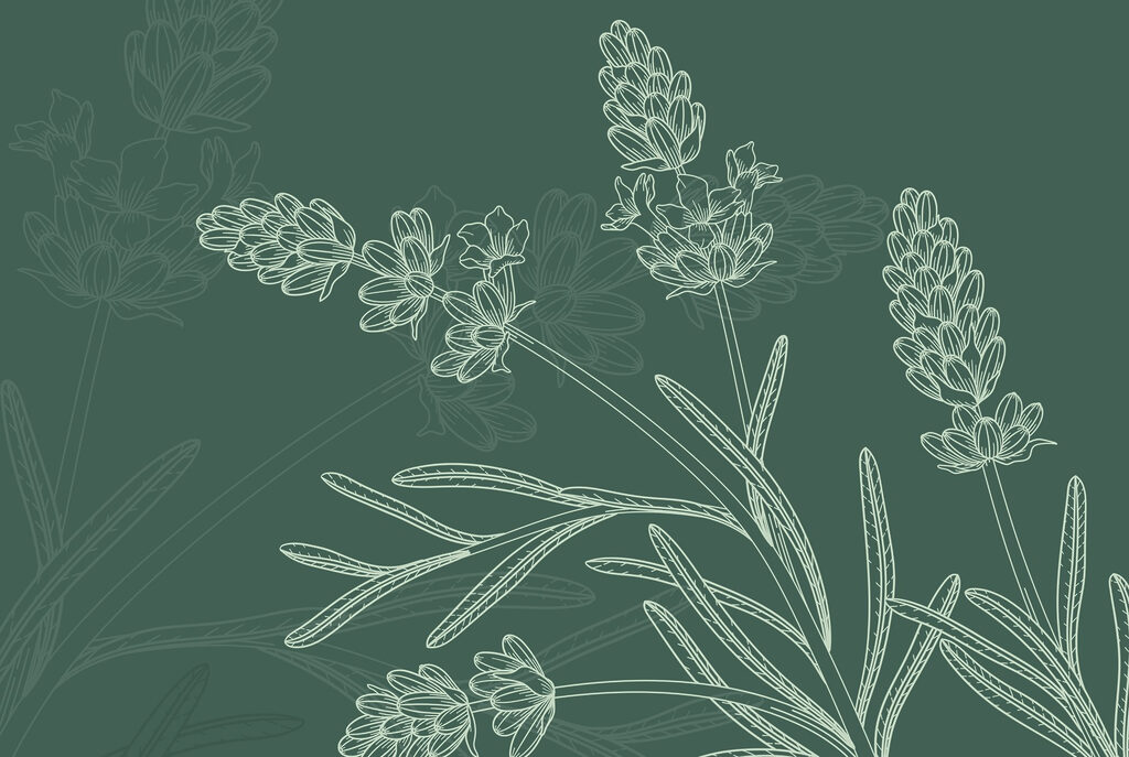 Racimos de flores dibujados — diseño completo