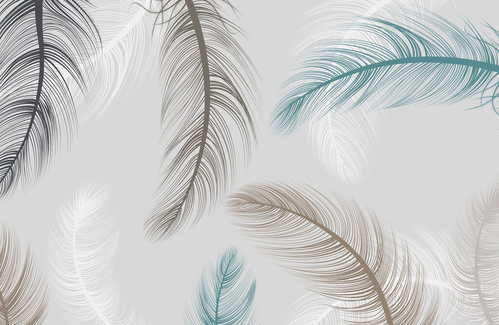 Plumas en movimiento — diseño completo