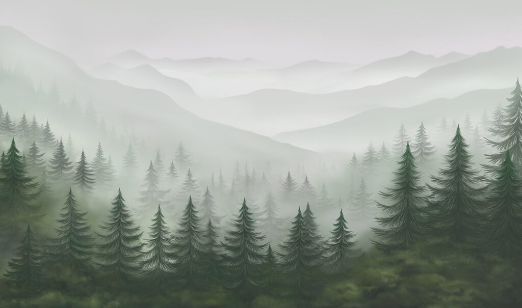 Pinos entre niebla — diseño completo
