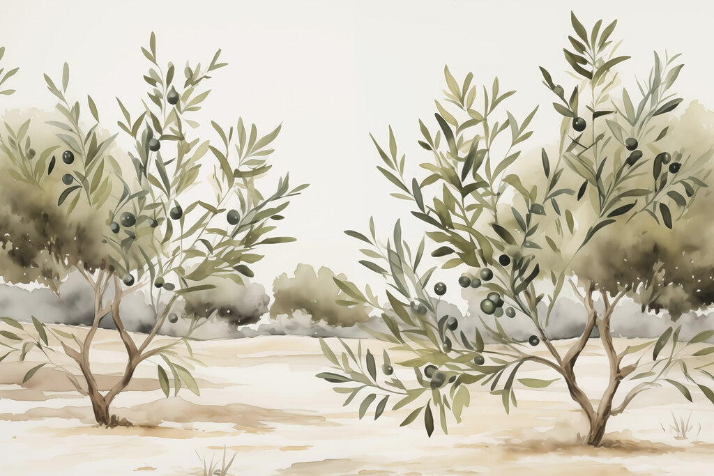 Olivos en campo arenoso — diseño completo