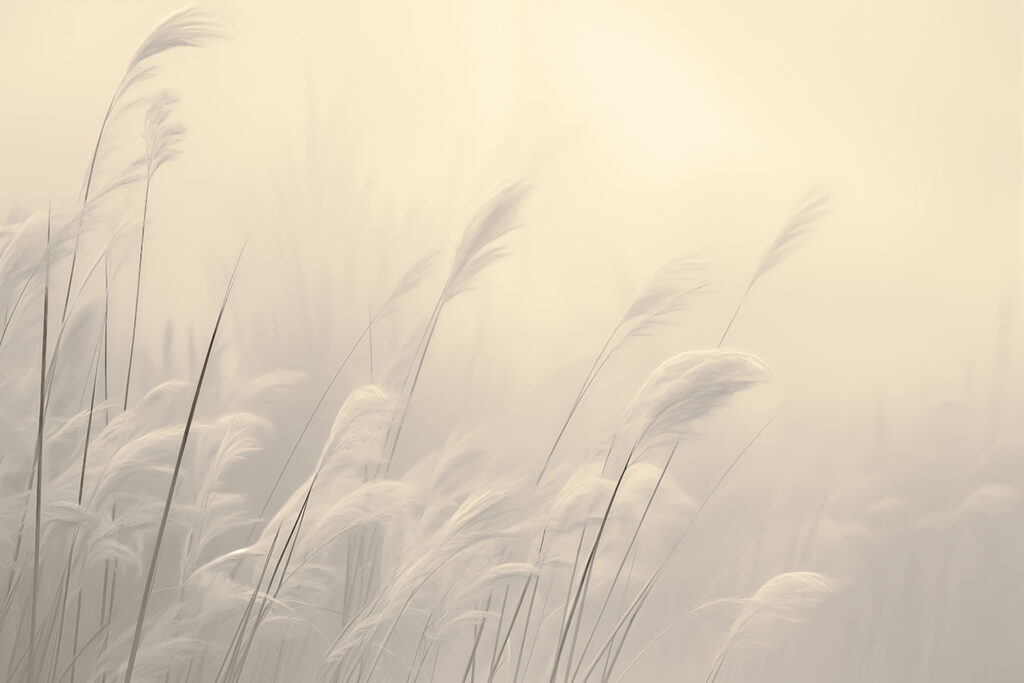 Hierbas entre la niebla — diseño completo