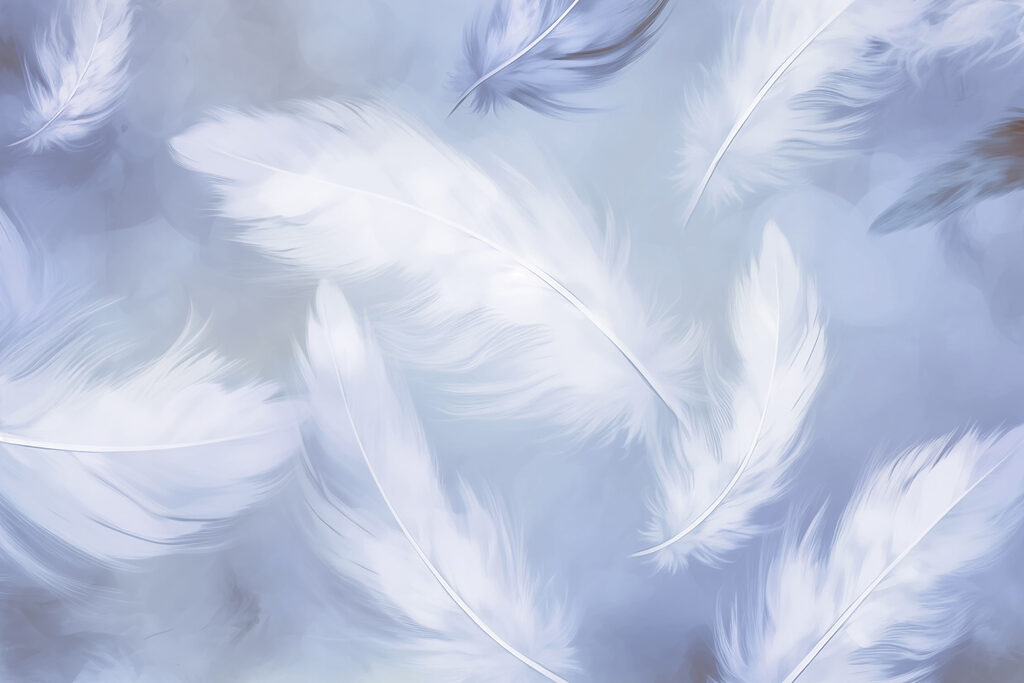Plumas en vuelo — diseño completo