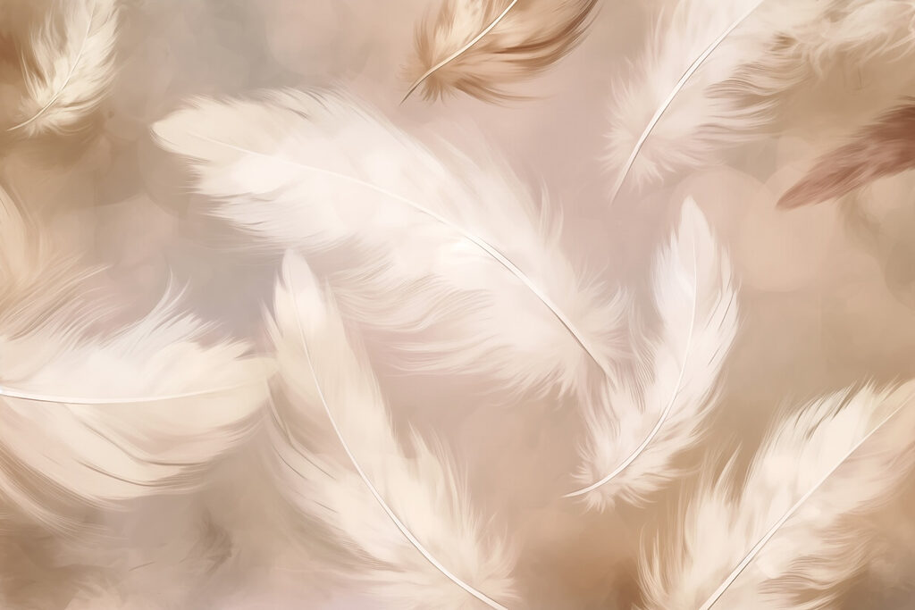Plumas en vuelo — diseño completo