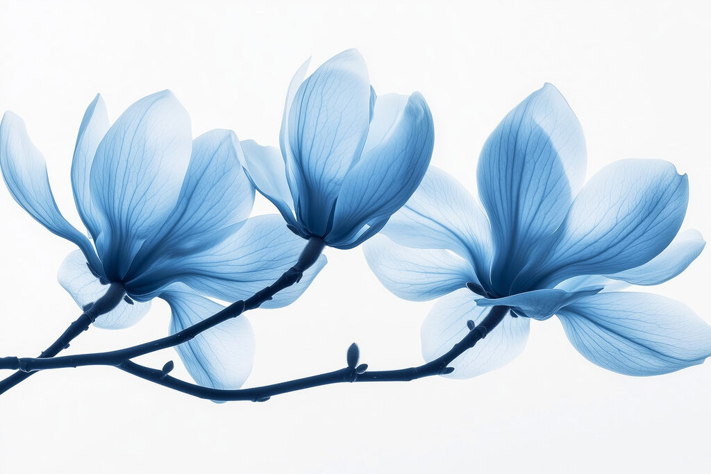 Magnolia azul en ramas — diseño completo