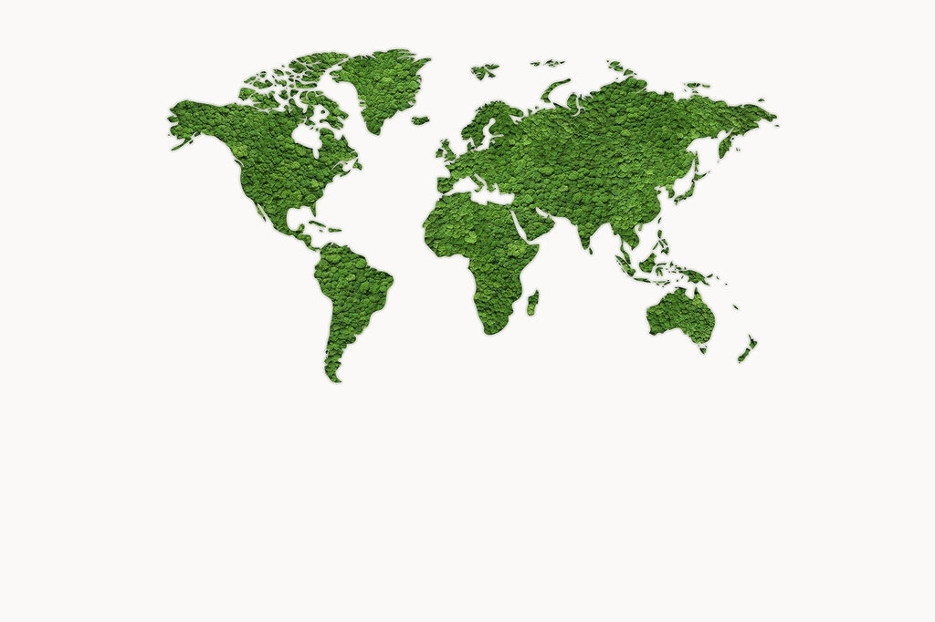 Mapa en verde oliva — diseño completo