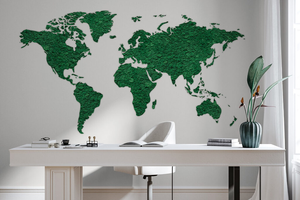 Mapa en verde oliva — interior 5
