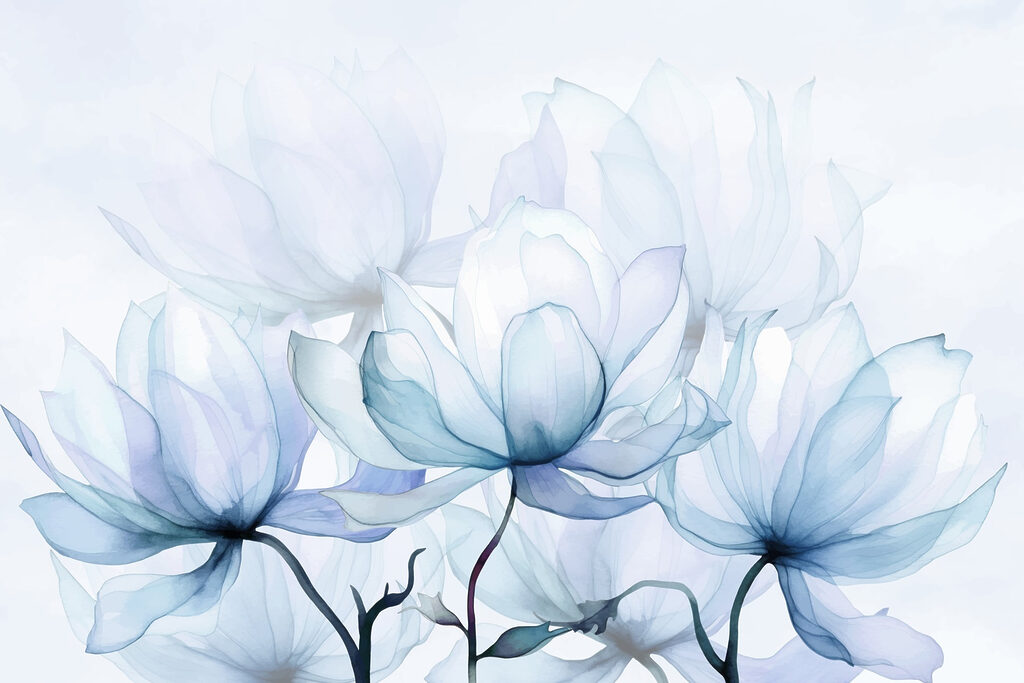Grandes flores translúcidas — diseño completo