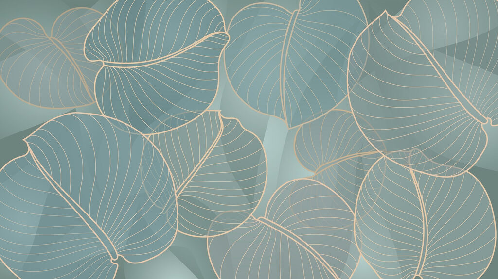 Nervaduras de hojas — diseño completo