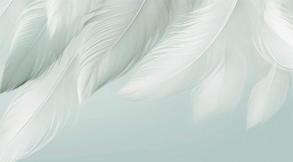 Plumas en suaves pliegues — diseño completo