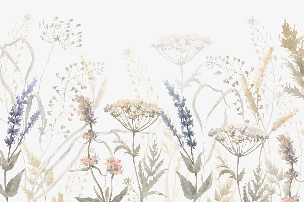 Plantas silvestres finas — diseño completo