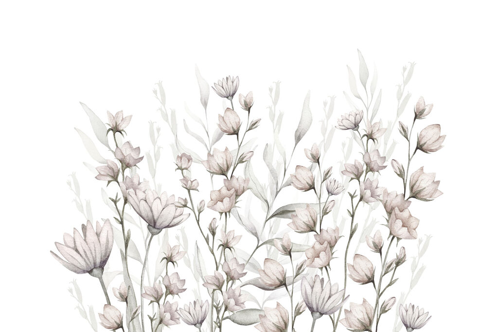 Flores rosas sobre blanco — diseño completo