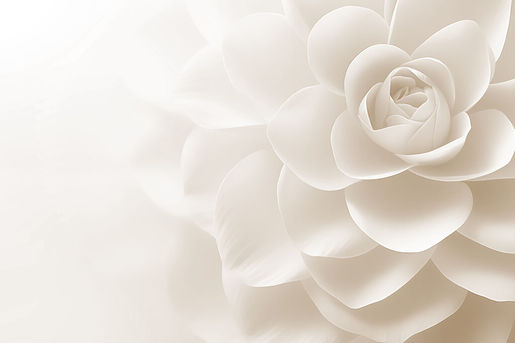 Rosa de pétalos anchos — diseño completo